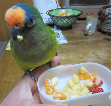 f0234590_9292358.png