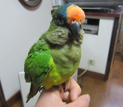 f0234590_9292848.png
