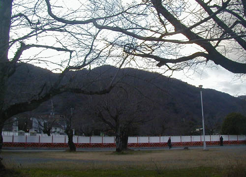 d0053294_143115.jpg