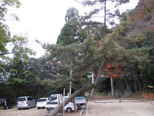 f0010195_146930.jpg