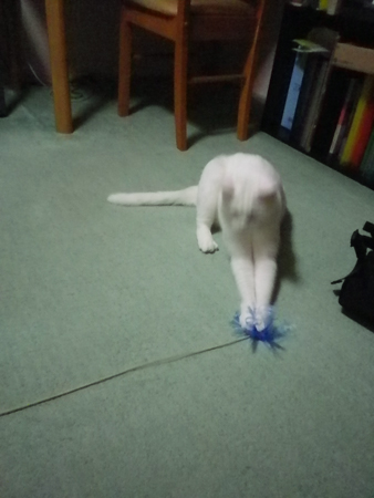 f0239100_19153163.jpg