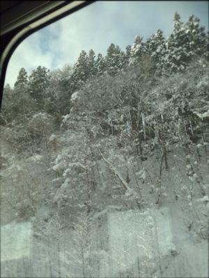 f0207703_15392261.jpg
