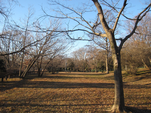 e0244621_9265685.jpg