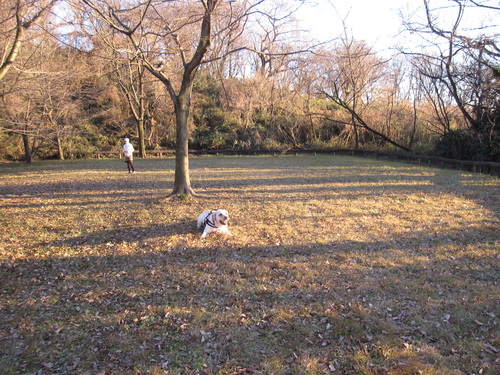 e0244621_927765.jpg