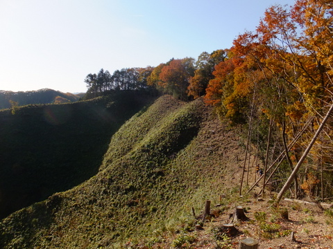 b0281732_15352680.jpg