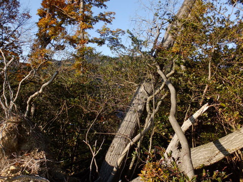 b0281732_15354476.jpg