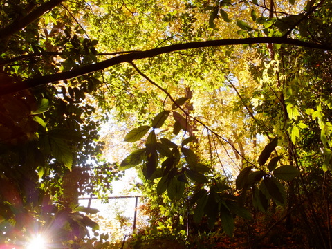 b0281732_15374756.jpg