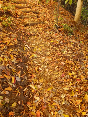 b0281732_15375571.jpg