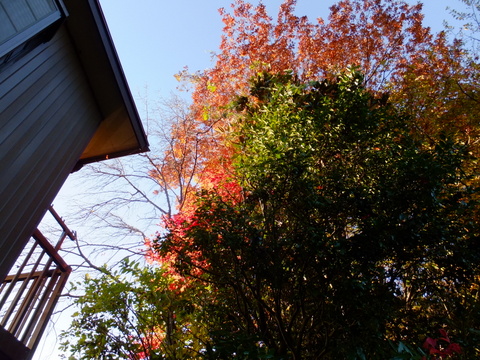 b0281732_15381240.jpg