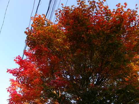 b0281732_154035100.jpg