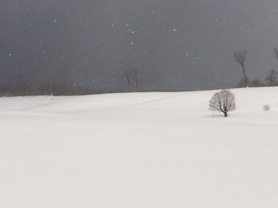 b0139033_15392068.jpg