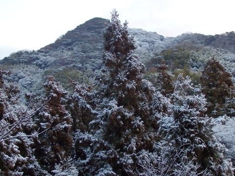 a0054240_0105596.jpg