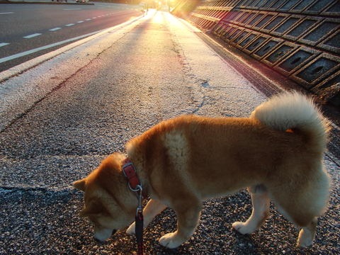 a0054240_0124510.jpg