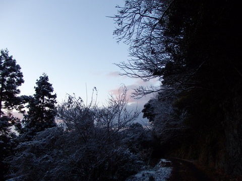 a0054240_063414.jpg