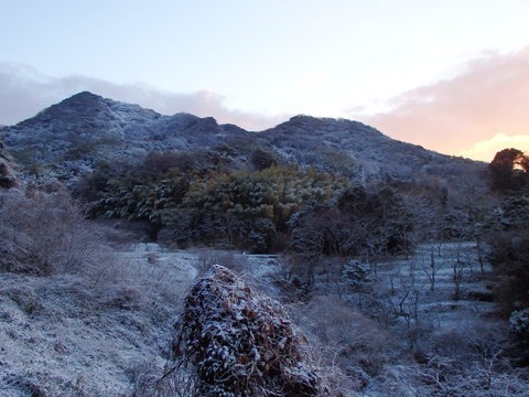 a0054240_094782.jpg