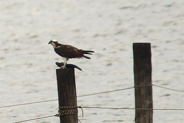 f0214649_2103982.jpg