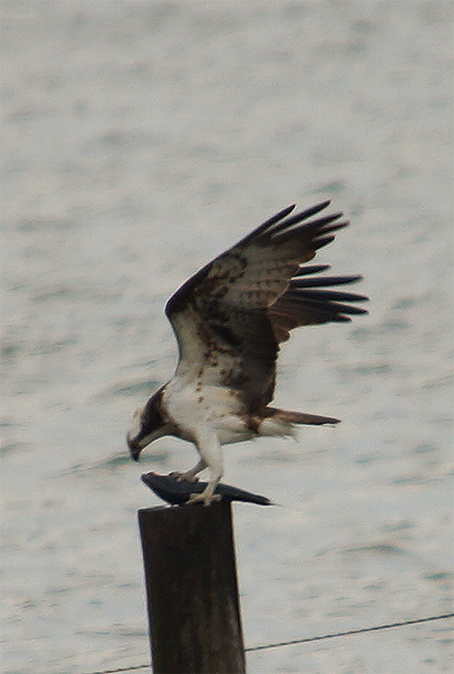 f0214649_2123362.jpg