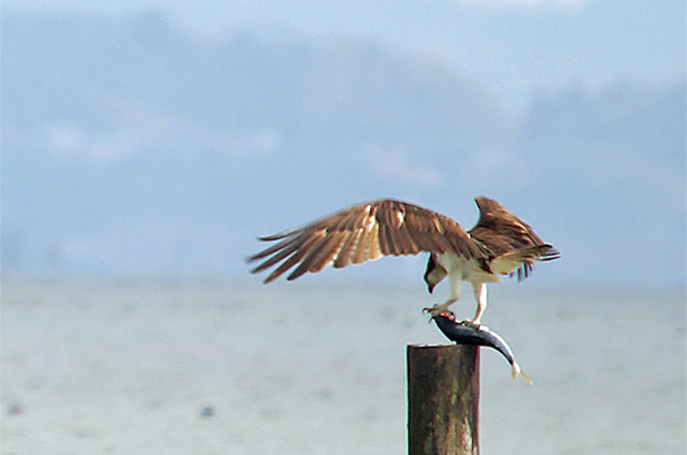 f0214649_2163141.jpg