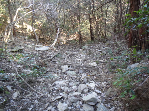 c0179351_17132789.jpg