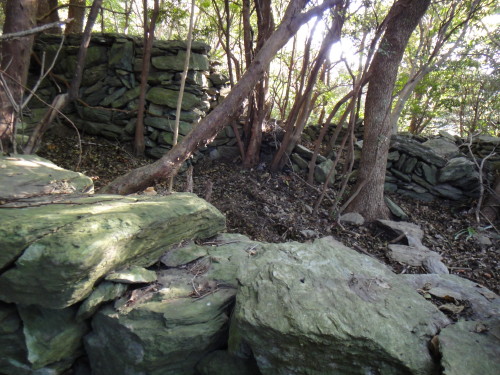c0179351_17142522.jpg