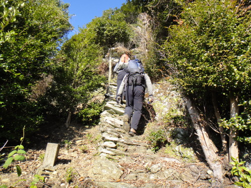 c0179351_17243024.jpg