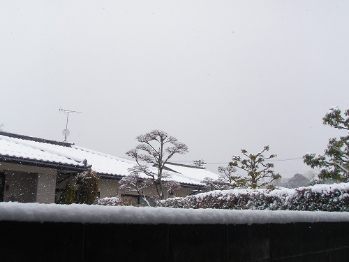 c0327752_14471802.jpg