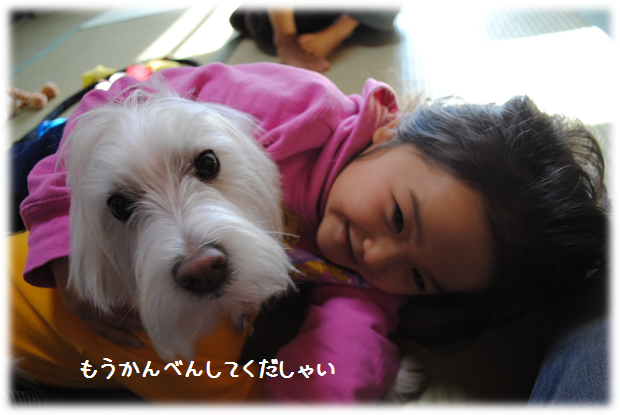 b0242873_01283599.png
