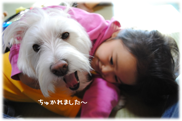 b0242873_01285321.png