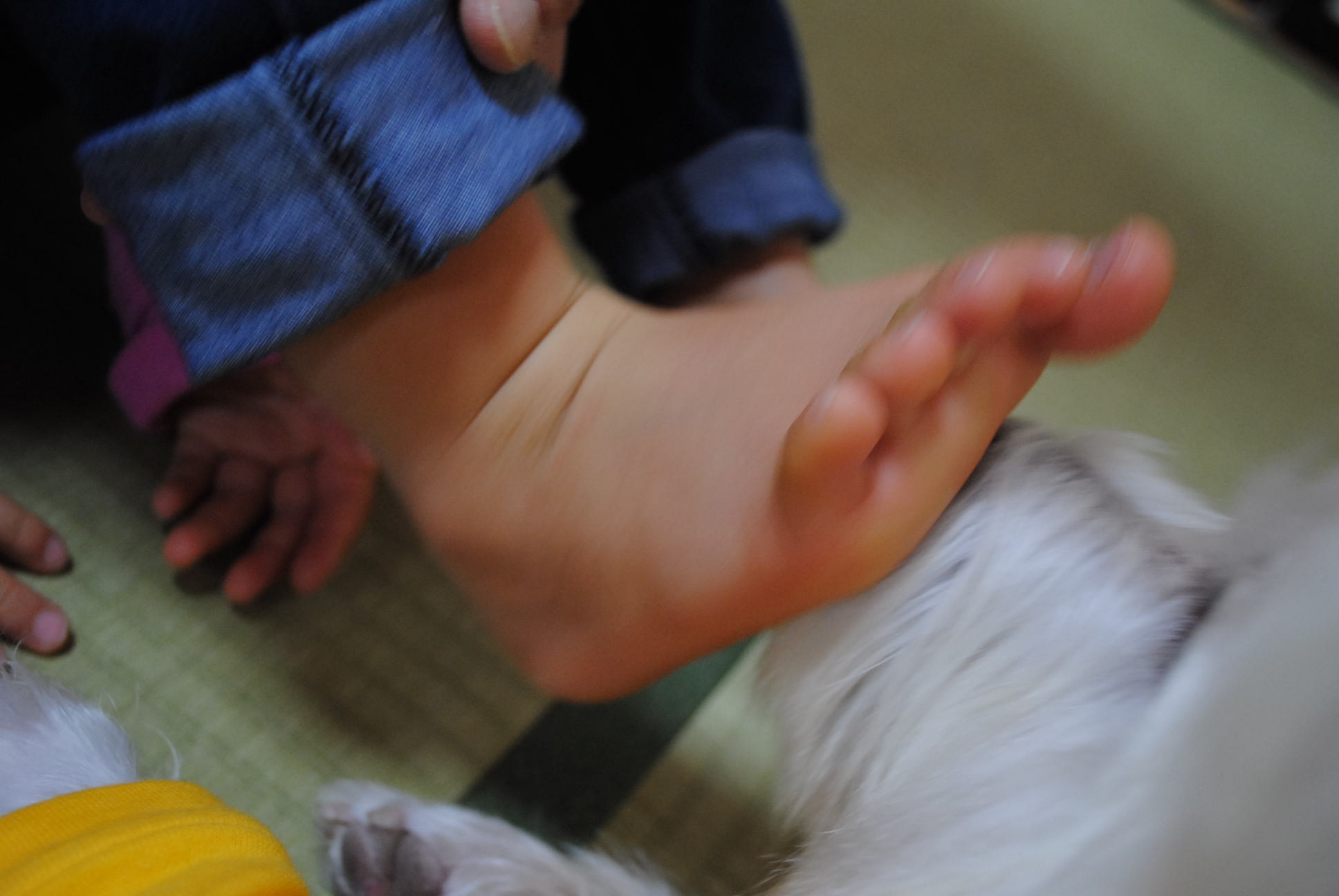 b0242873_01302752.jpg