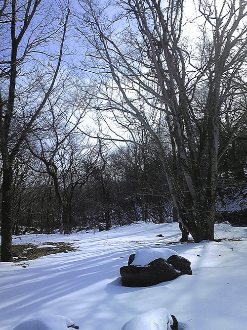 e0118274_20181725.jpg