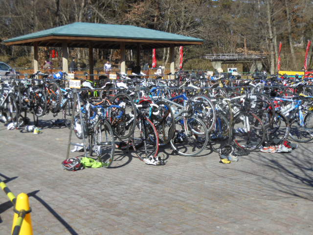 c0206177_1394798.jpg
