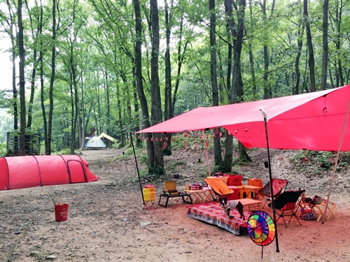 e0229992_1739585.jpg