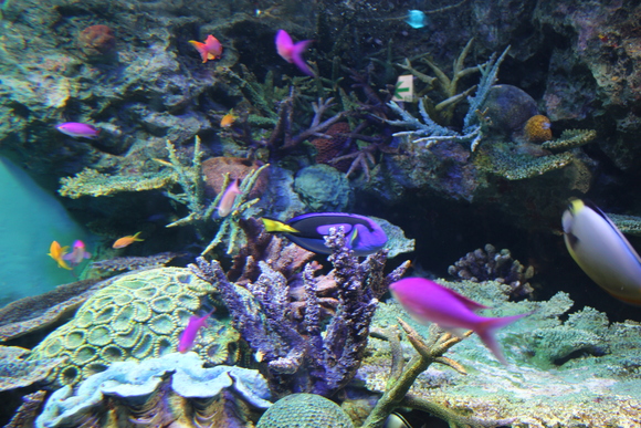 f0307097_23521322.jpg