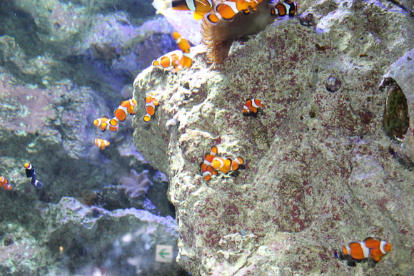 f0307097_23554834.jpg