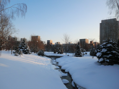 e0242504_20072285.jpg
