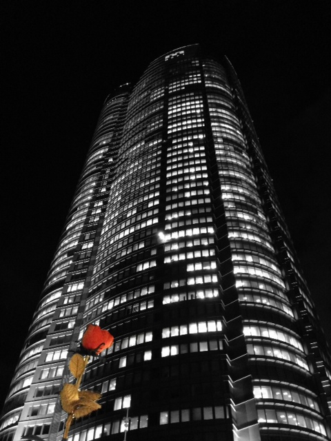 c0227407_16292898.jpg