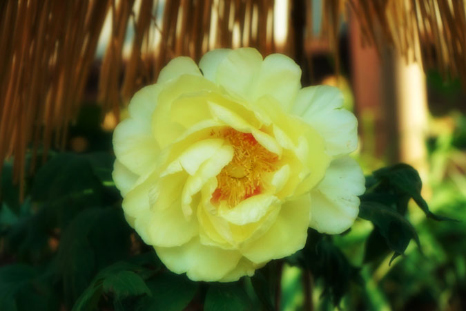 a0263109_14501274.jpg