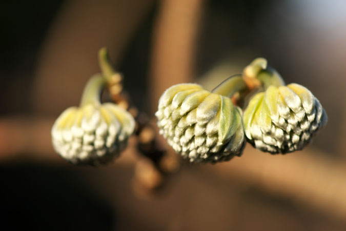 a0263109_14532159.jpg