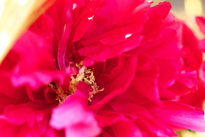 a0263109_145475.jpg