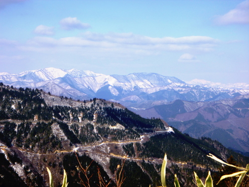 d0170615_1426245.jpg