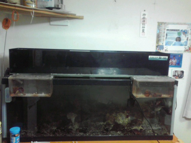 a0291521_18412211.jpg