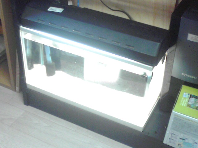 a0291521_941978.jpg