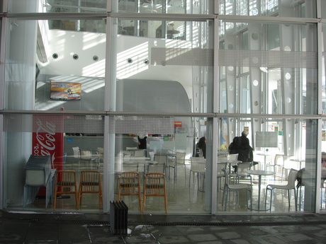 d0250123_81369.jpg