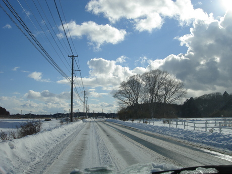 d0250123_851380.jpg