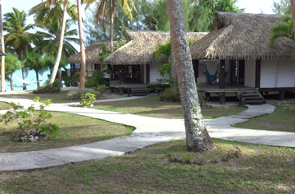 a0050227_2216914.jpg