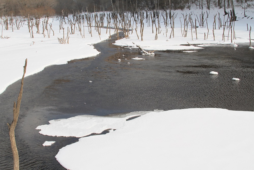 c0111229_1930329.jpg