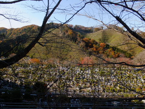 b0281732_15405421.jpg