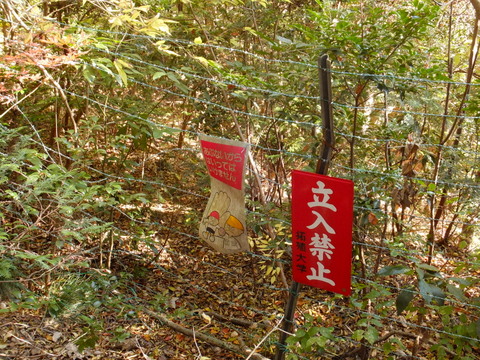 b0281732_1542343.jpg