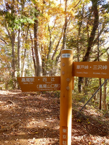 b0281732_15433827.jpg