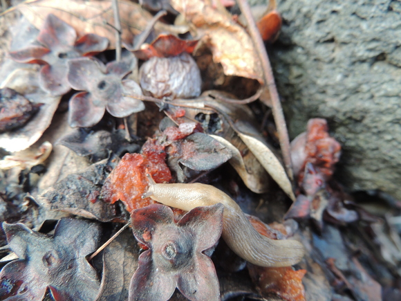f0118332_2013015.jpg